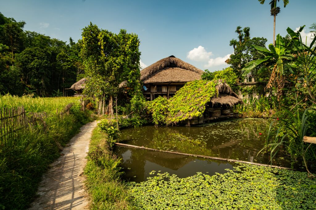 Best resort near Navi Mumbai , Tadmal Resort Cultural Festival