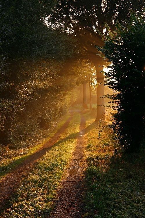 Peace into Nature