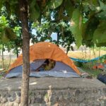 Pet-friendly resort near Mumbai