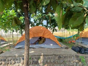 Pet-friendly resort near Mumbai