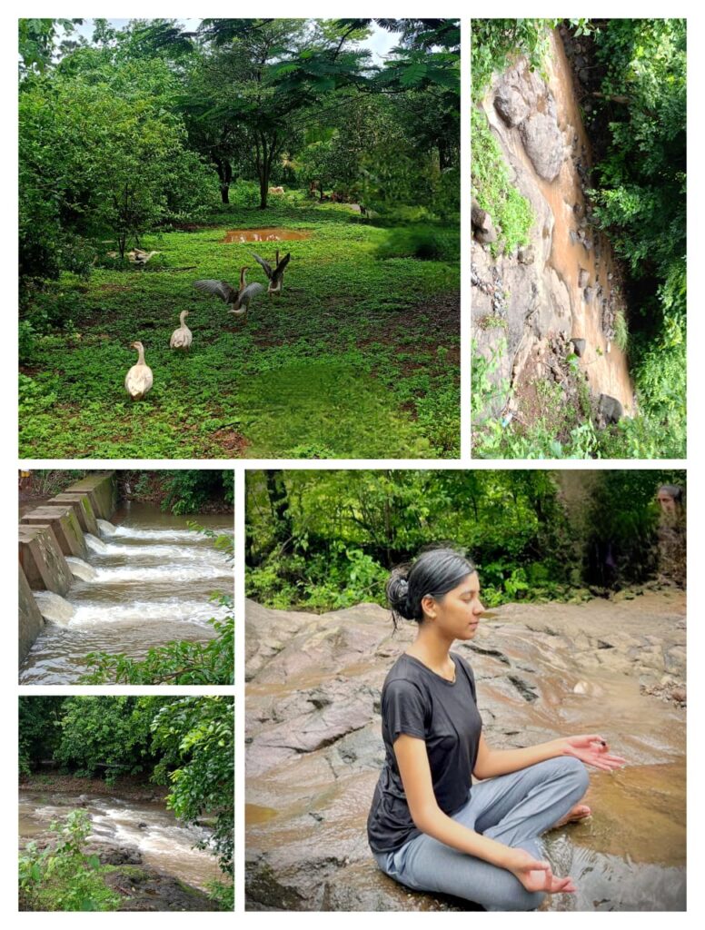 best resorts near Panvel