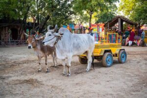 weekend stay near Navi Mumbai