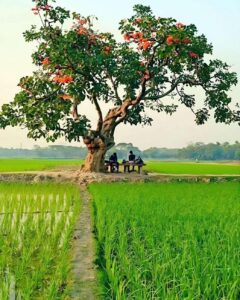 organic stay near Mumbai
