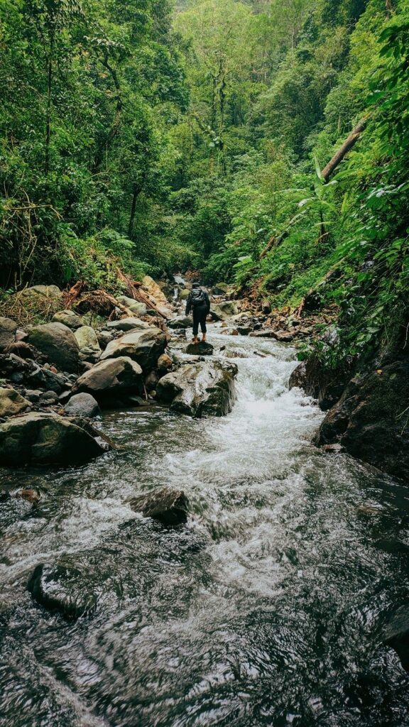 resort near panvel