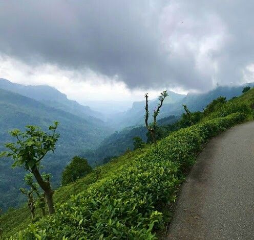Best Monsoon Resorts Near Mumbai