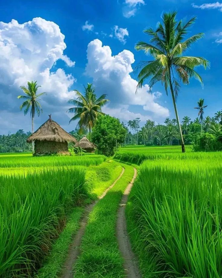 Best Resort Near Panvel