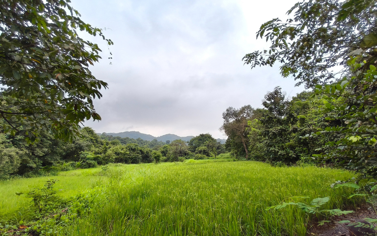 tadmal-gallery-image1