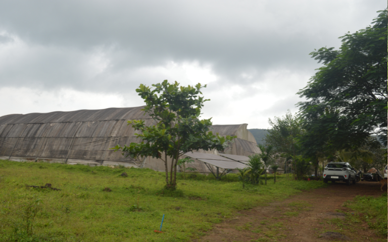 tadmal-gallery-image11