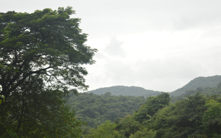 tadmal-gallery-image12