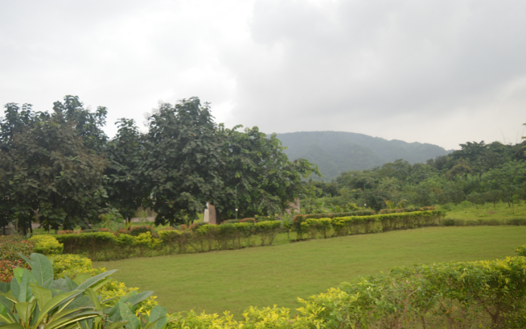 tadmal-gallery-image18