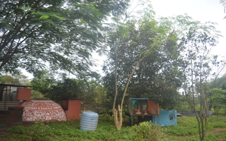 tadmal-gallery-image6