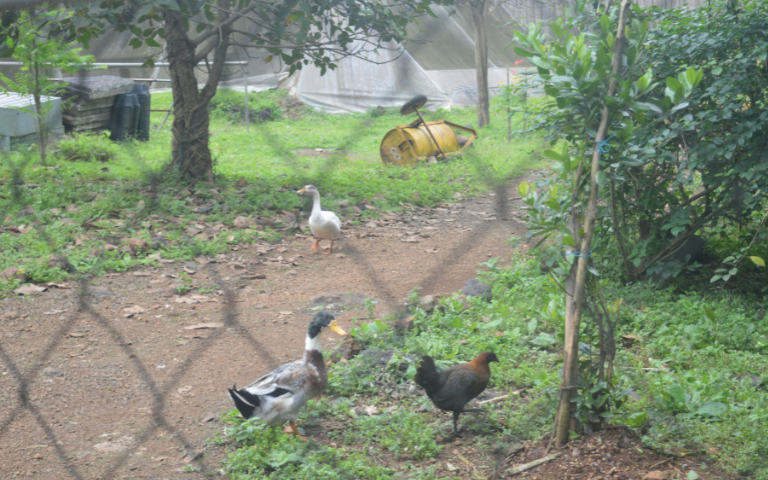 tadmal-gallery-image7